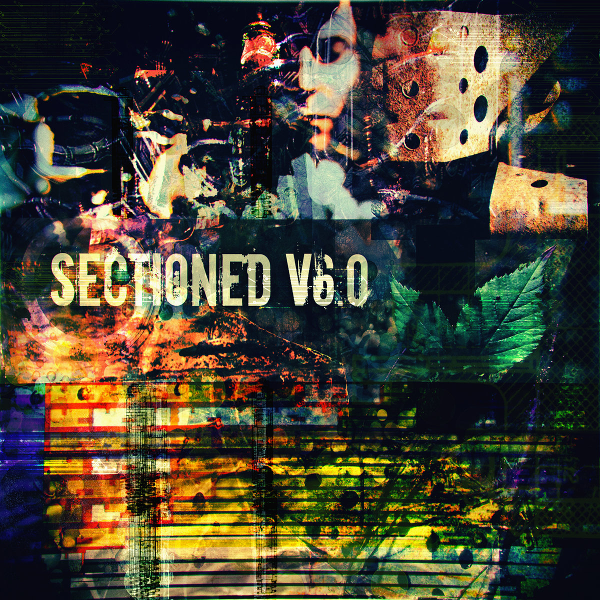 Snowbound On appears on Sectioned 006 compilation